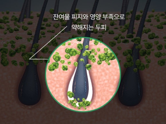 로즈마리헤어 이미지