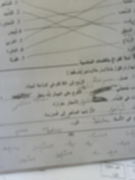 또르기 이미지