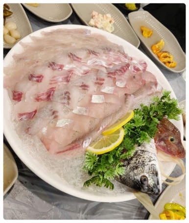 싱싱코리아 이미지