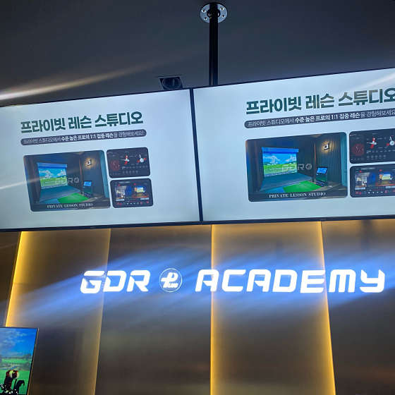 마이트리 이미지