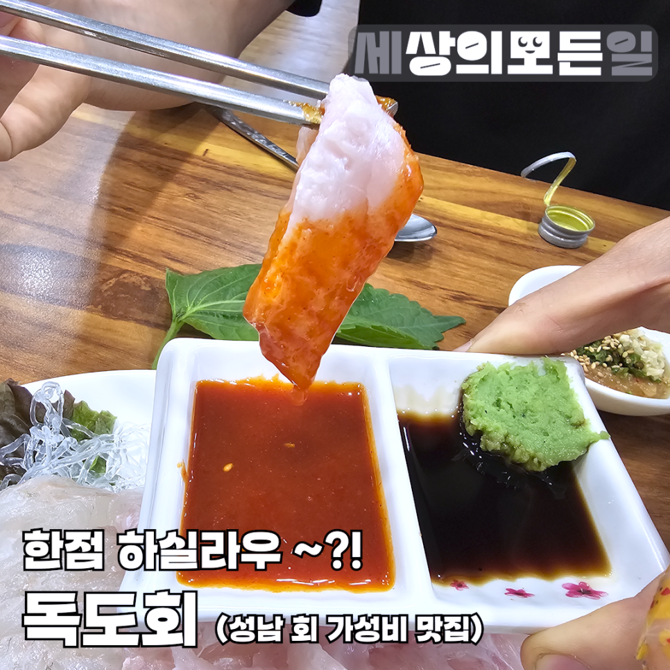 독도회 이미지