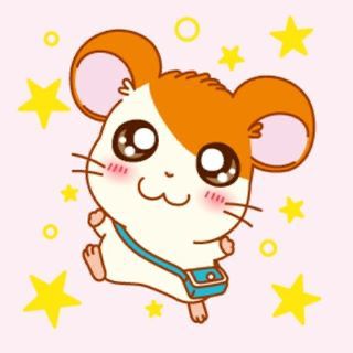 탕탕 탕후루 이미지