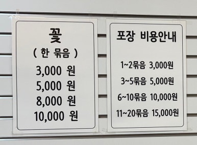 쁘렝땅플레르 이미지