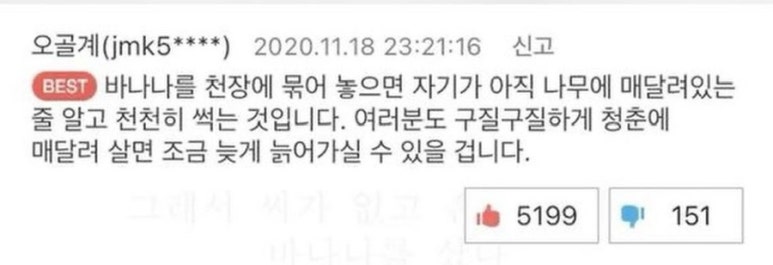 주마사마 이미지
