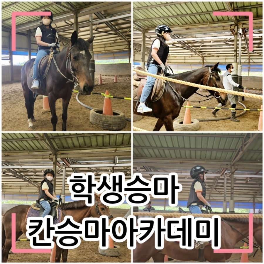 칸승마아카데미 이미지
