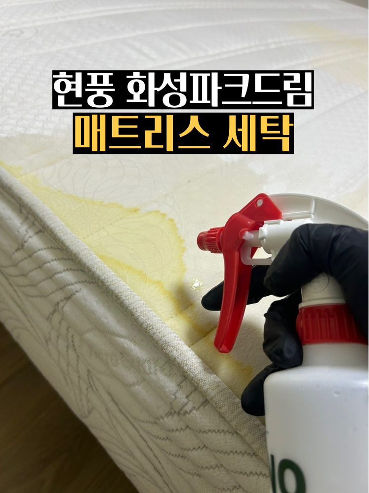 테크노폴리스세탁 이미지