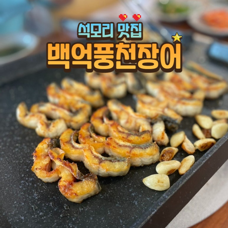 백억장어 이미지