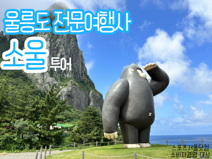 쏘울여행사 이미지