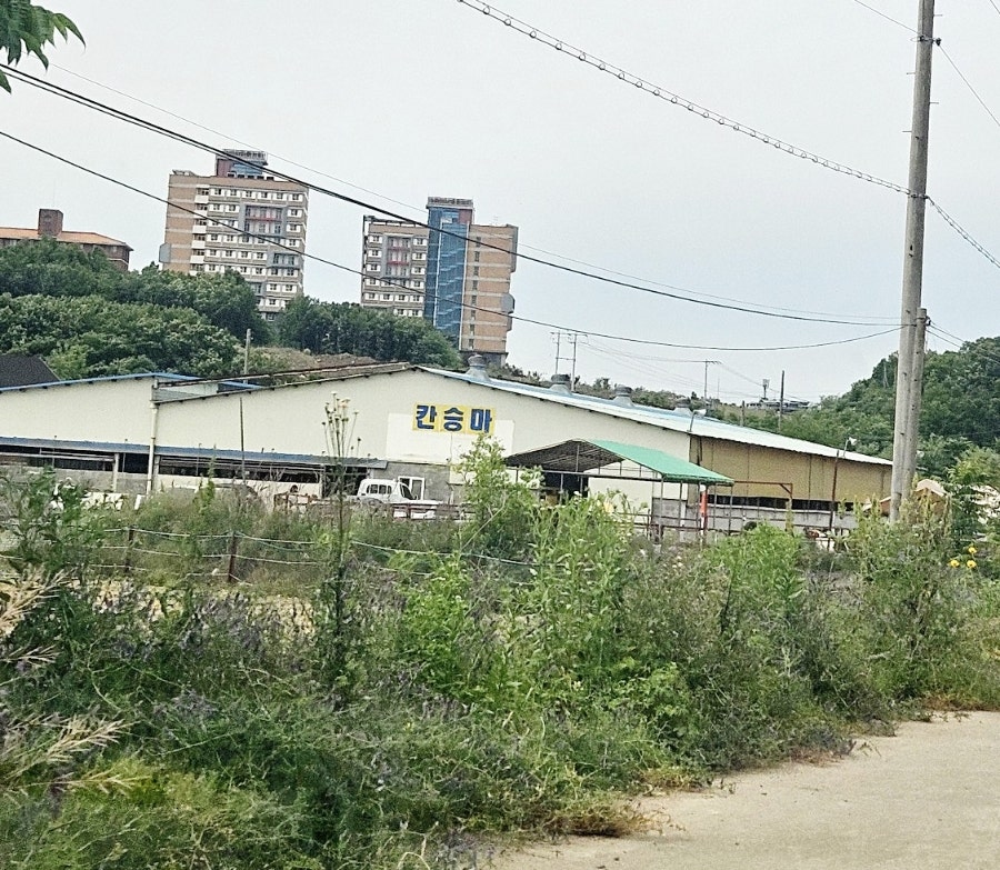 칸승마아카데미 이미지