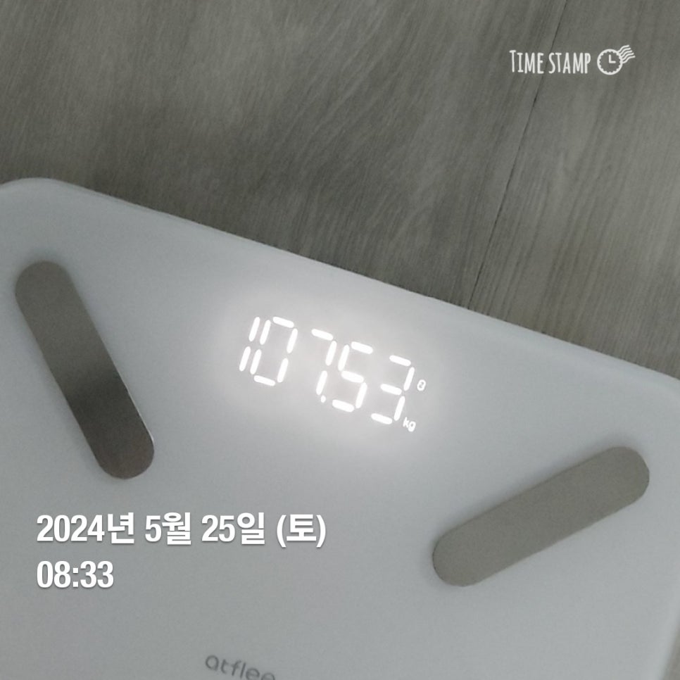 드래곤짐 이미지