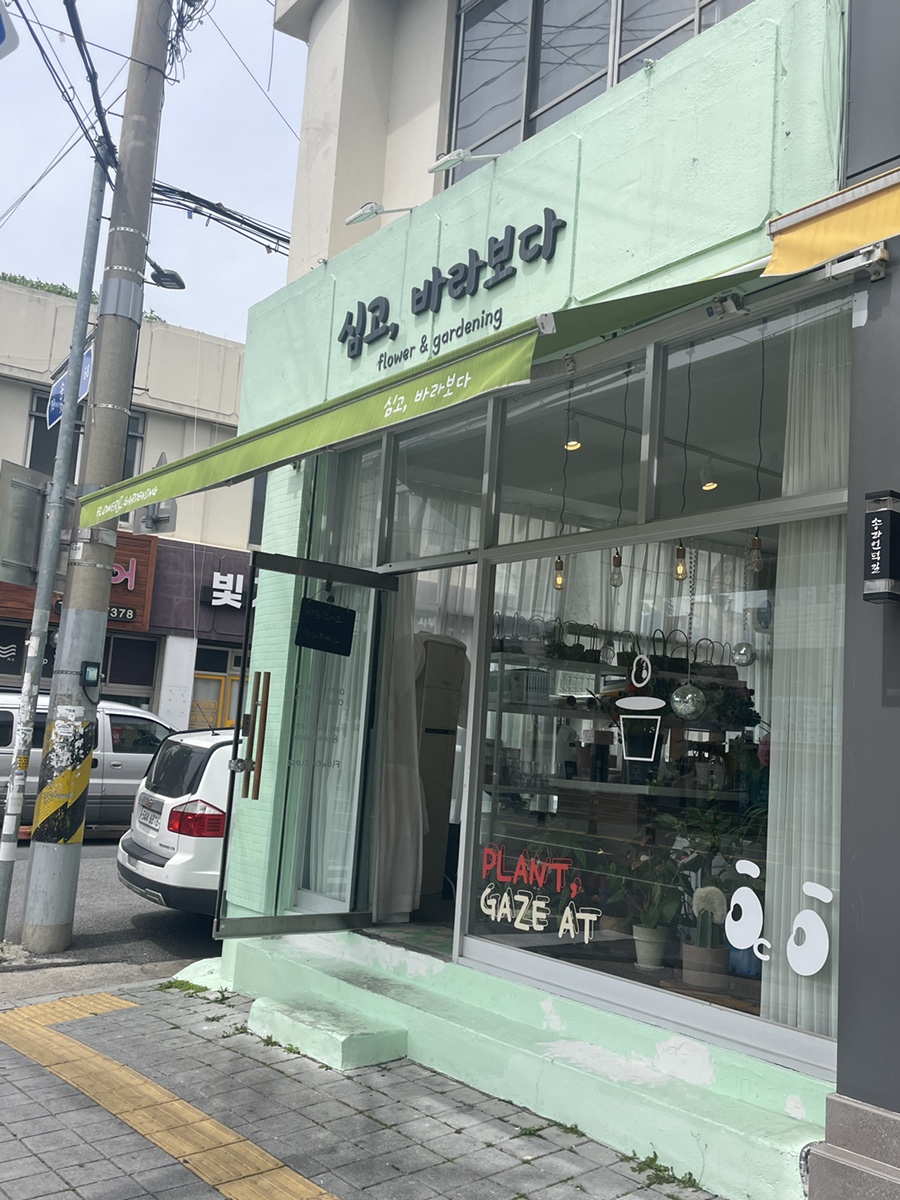 심고;바라보다 이미지