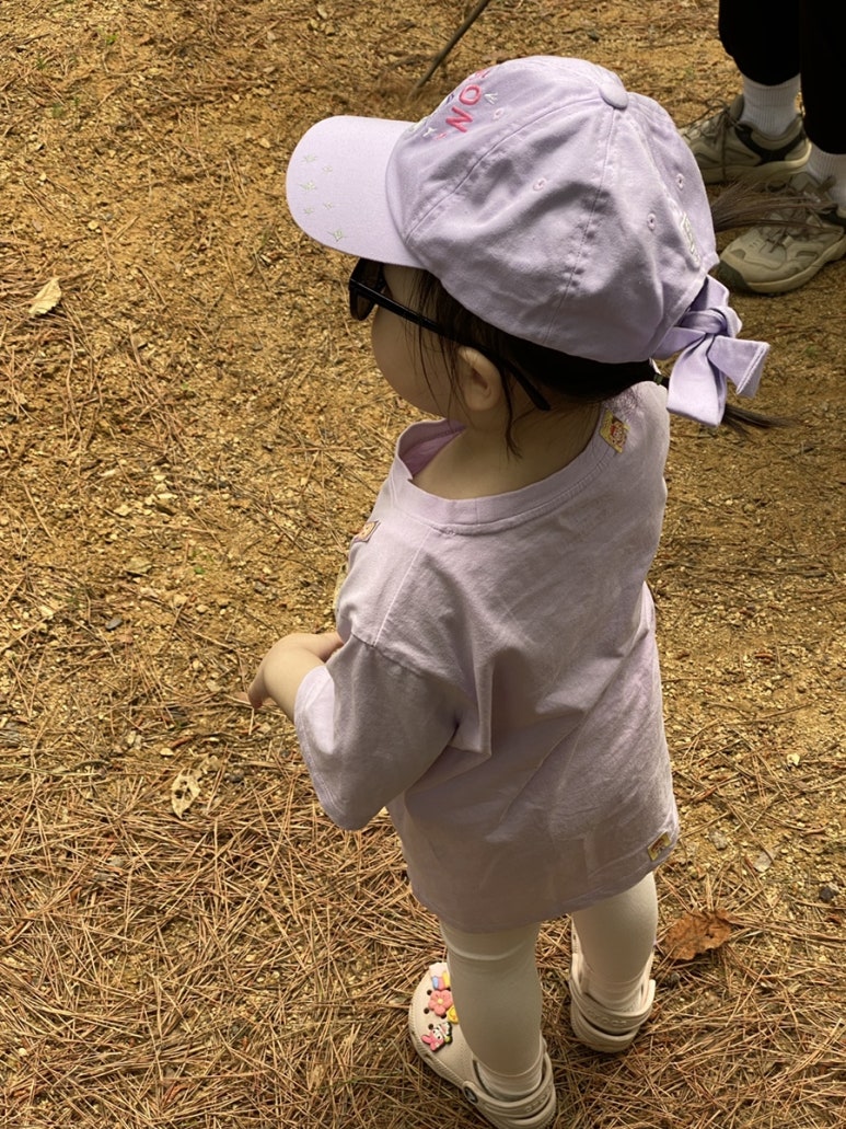 비조카 이미지