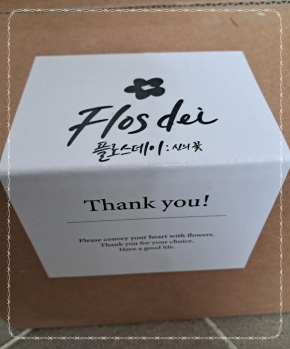 기분좋은데이 이미지