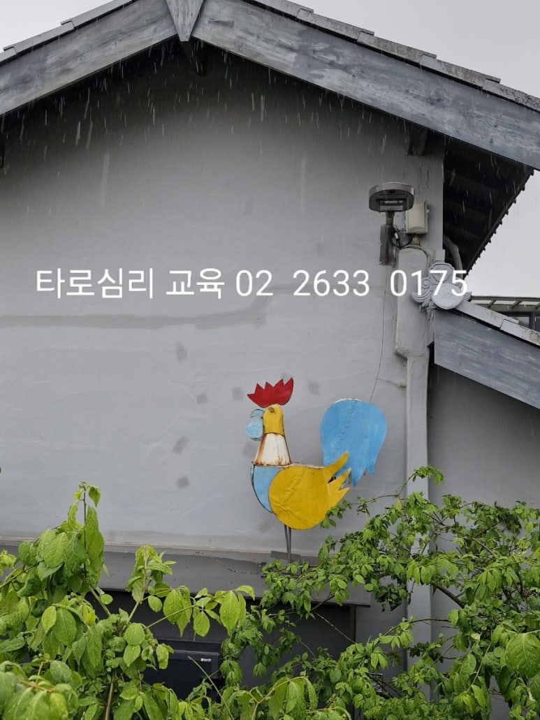 원테라피 이미지