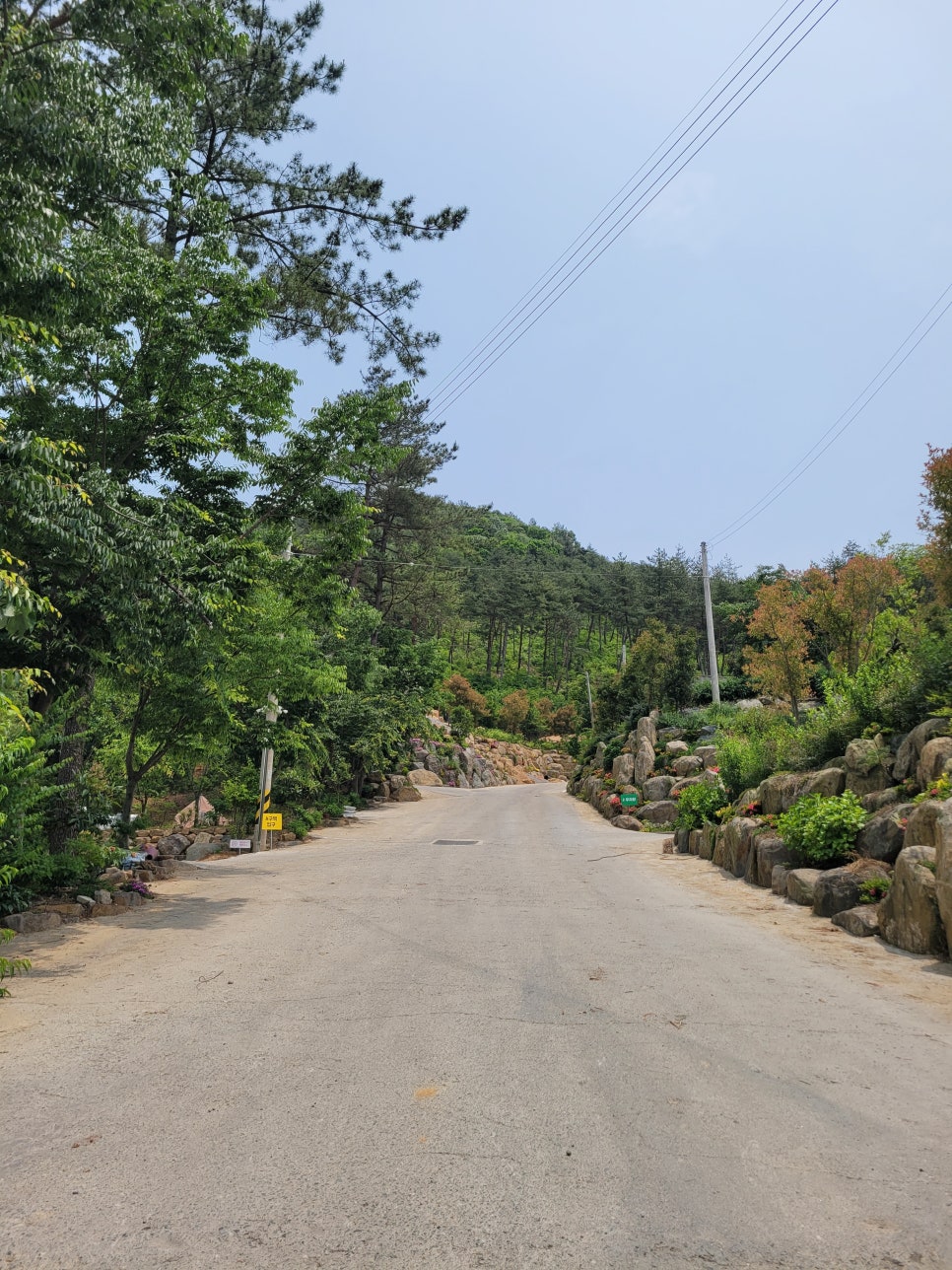 러블레싱 이미지