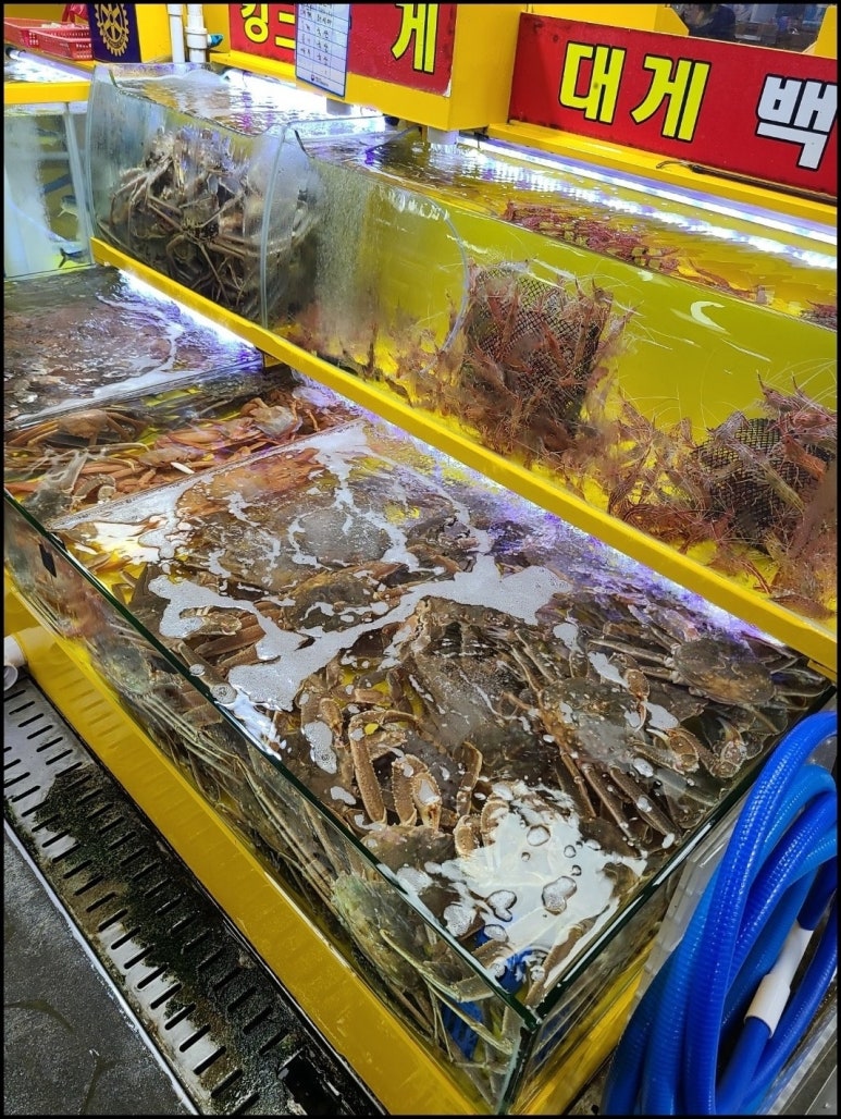 호남횟집 이미지