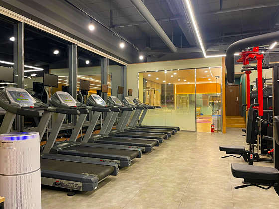 라인업휘트니스 이미지