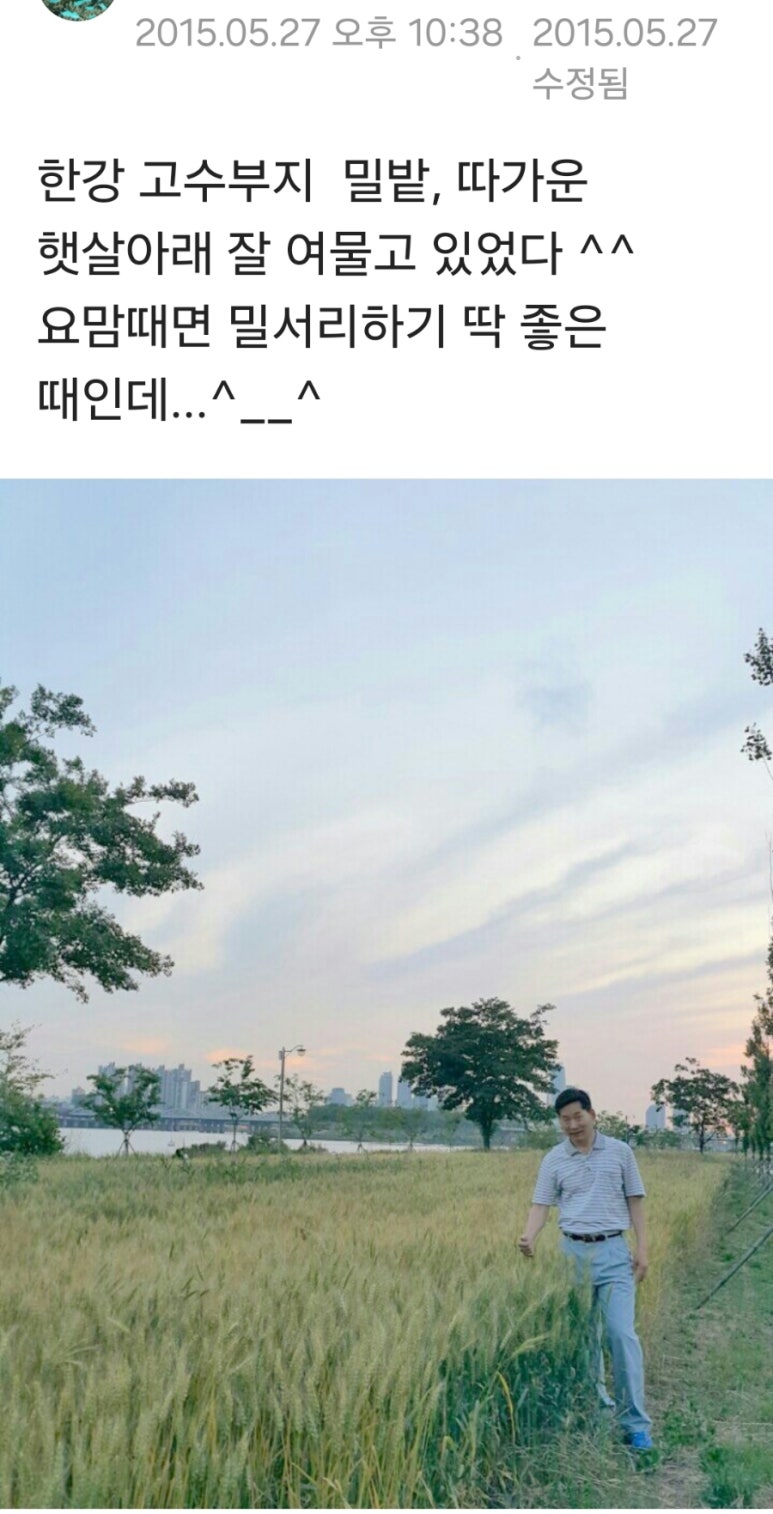 오월의 밀밭 이미지
