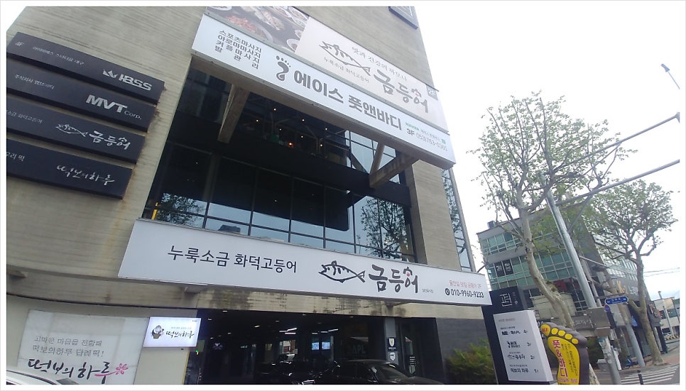 들안길맛집금등어 이미지