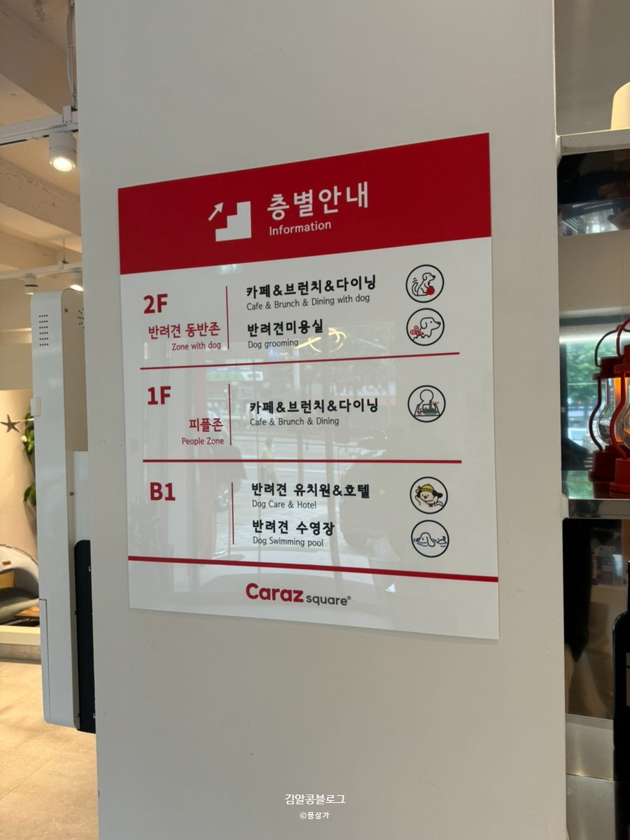 송파 강아지 동반 브런치 카페, 카라즈스퀘어 플레이존 이용 후기 — 사진 7
