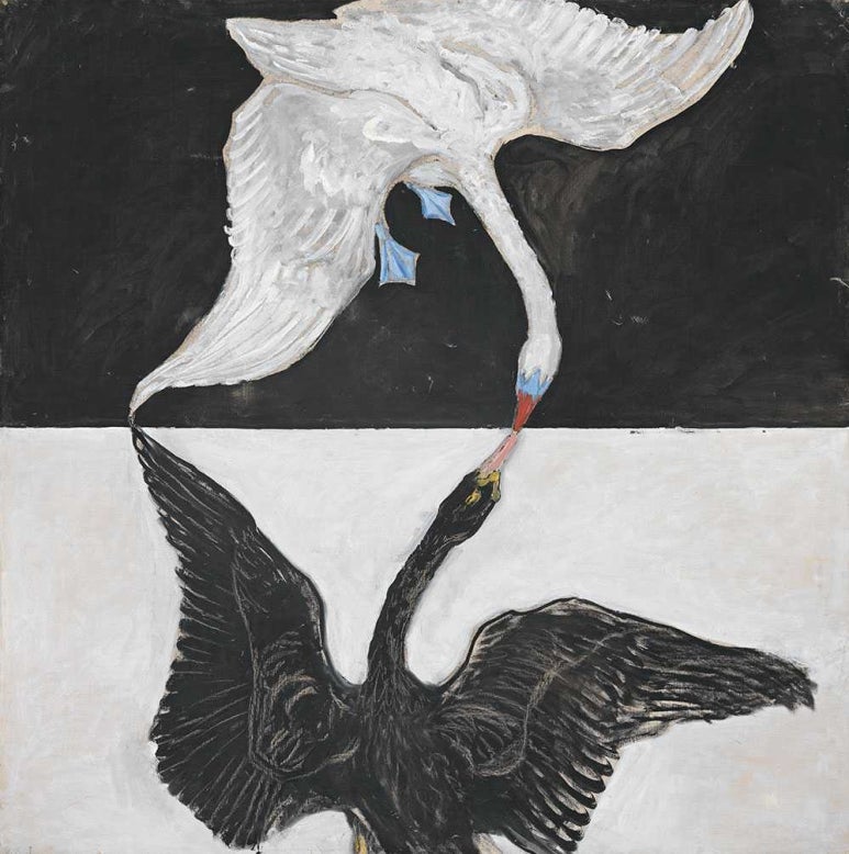 아프(AF) 이미지