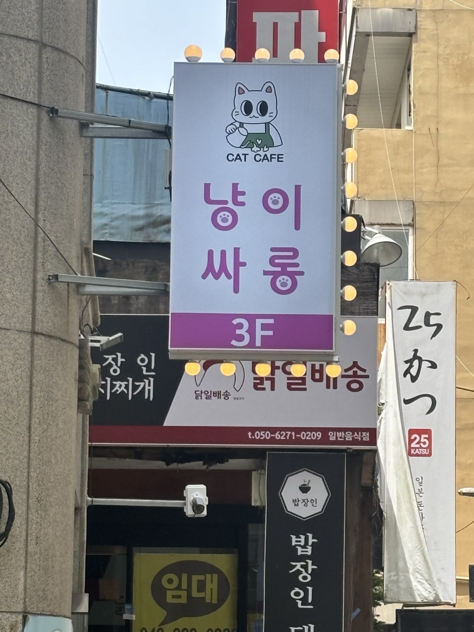 냥이싸롱 이미지