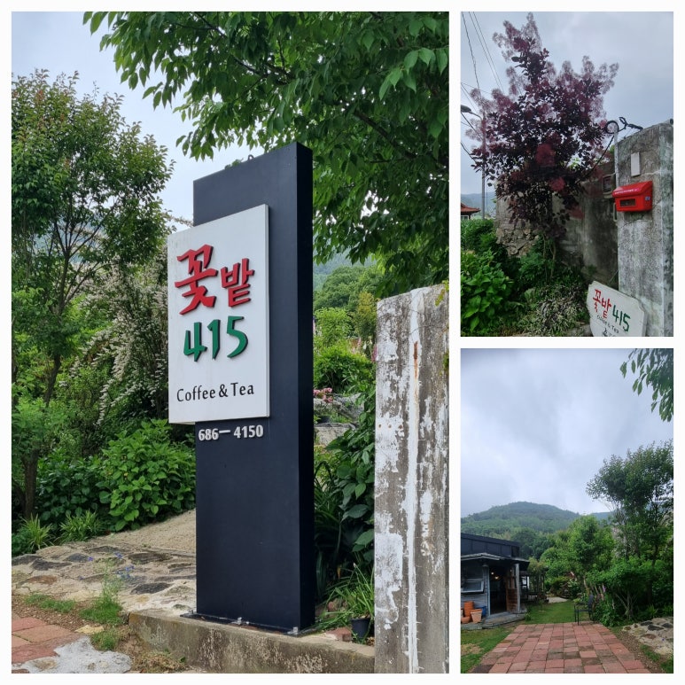 꽃밭415 이미지