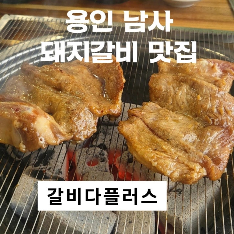 다플러스 이미지