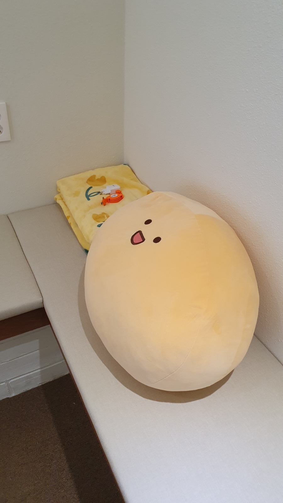 베일리(Baily) 이미지
