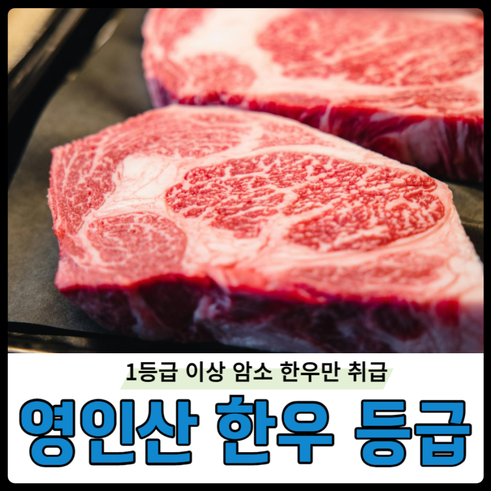 영인산한우 이미지