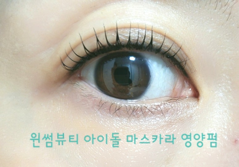 윈썸뷰티 이미지