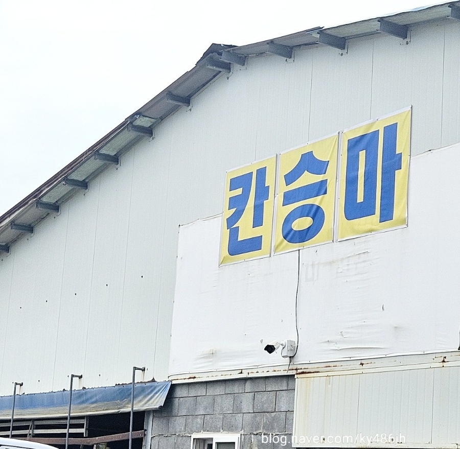 칸승마아카데미 이미지