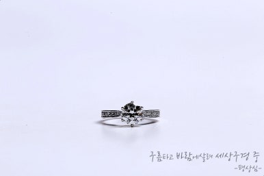 성지투어 이미지