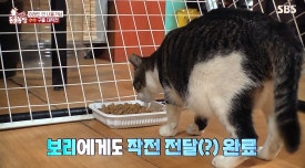 수수아빠 이미지