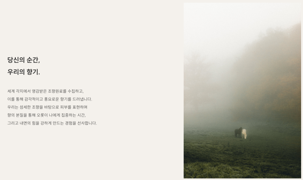 로우바이브 이미지