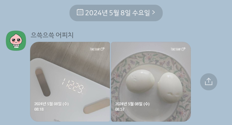 드래곤짐 이미지
