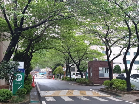 현대용흥 이미지