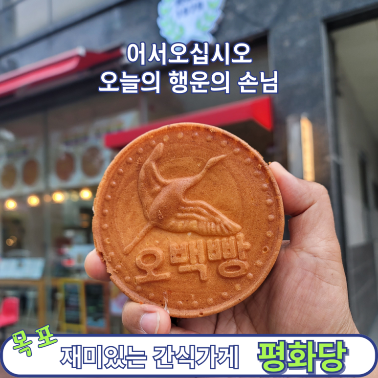 평화당1979 이미지