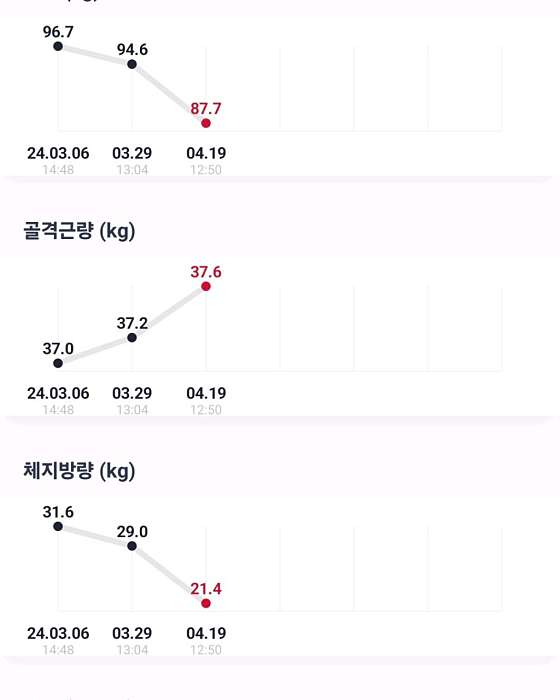 니드핏 이미지