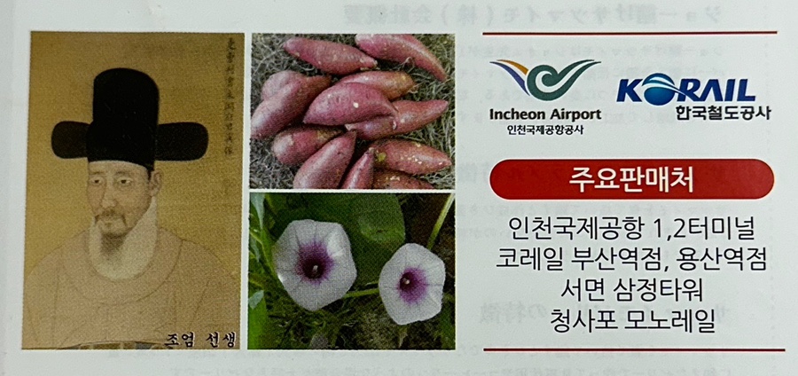 조내기고구마(주) 이미지
