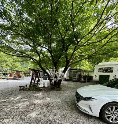 지리산 벚꽃 카라반 캠핑장 이미지