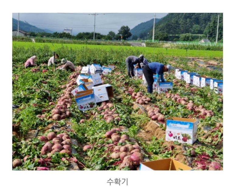 유진팜 이미지