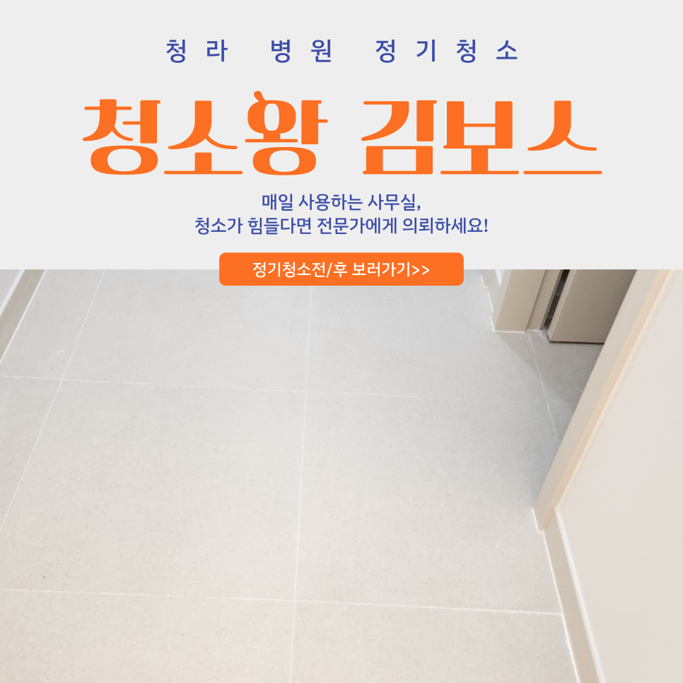 청소왕김보스 이미지