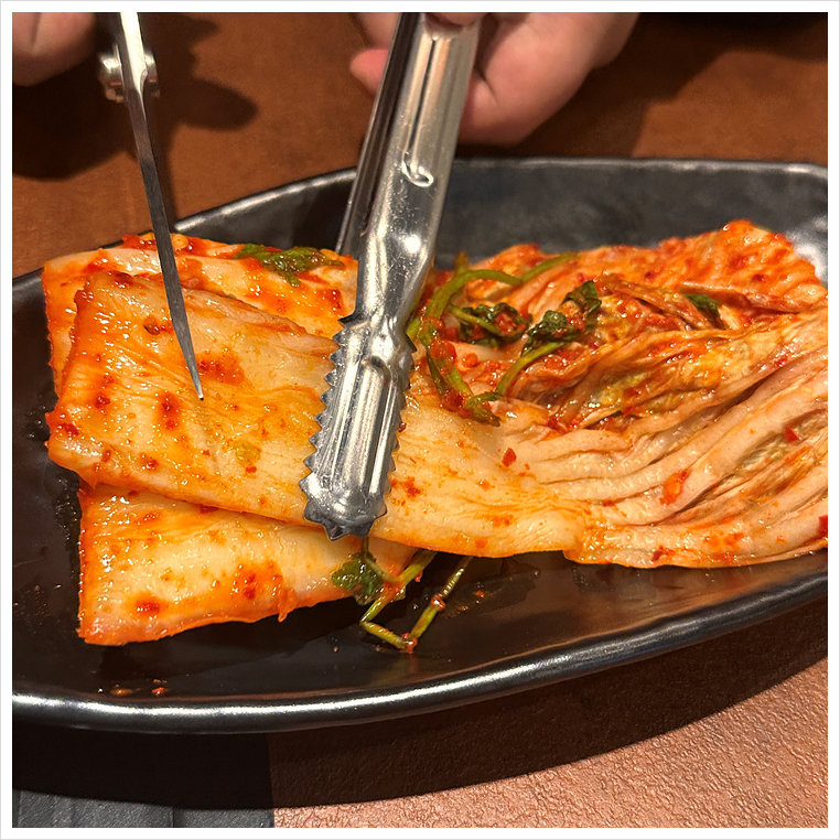 석문어 이미지