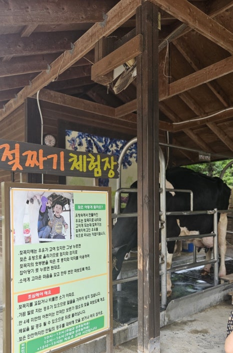 청보리공방 이미지
