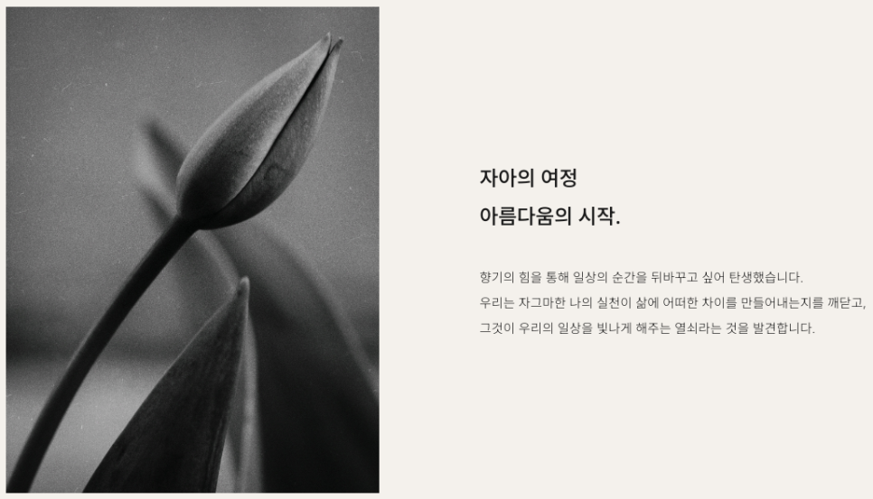 로우바이브 이미지