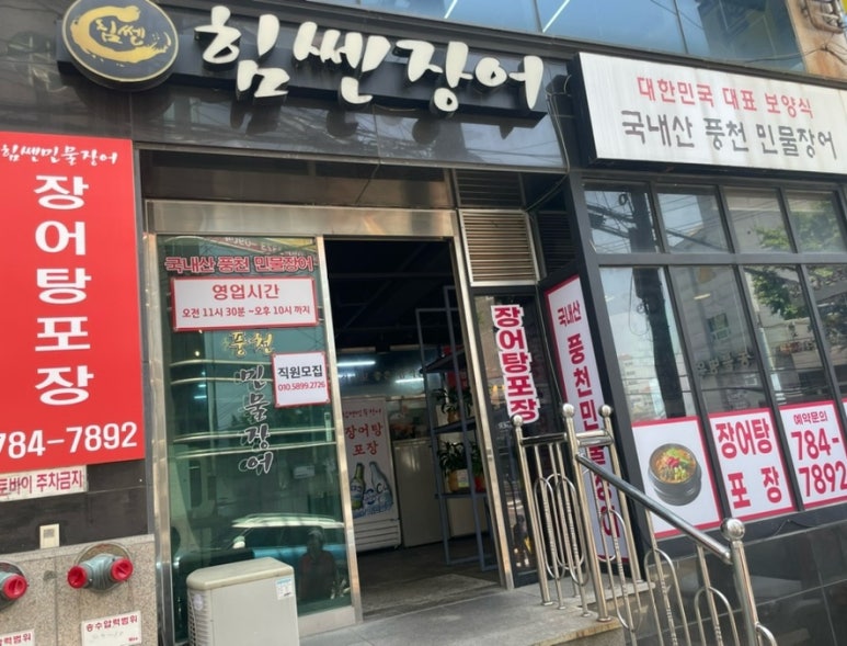 힘쎈민물장어 이미지