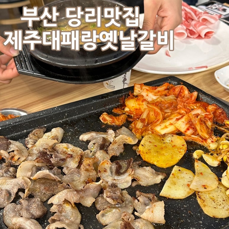 띵동제주 이미지