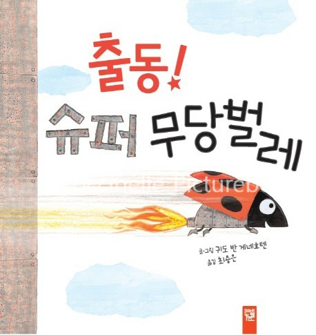 시넬 이미지