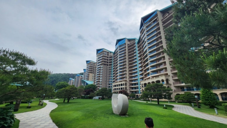 펠리체(Felice) 이미지